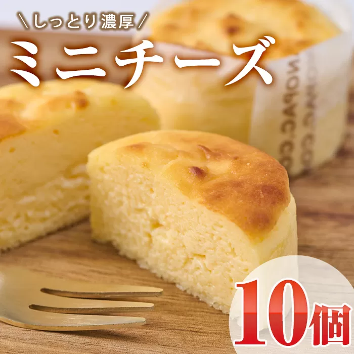 濃厚ミニチーズケーキ (計10個) チーズケーキ チーズ スイーツ 冷凍 お菓子 おやつ 焼き菓子 お取り寄せ 大分県 佐伯市【AJ87】【(有)ケーキ大使館クアンカ・ドーネ】