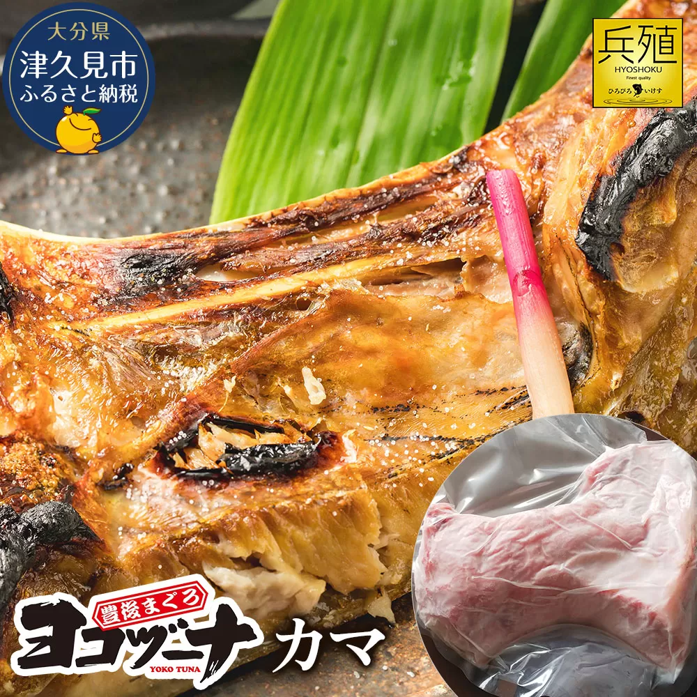 豊後まぐろ ヨコヅーナ カマ 鮪 マグロ かま 海鮮丼 希少部位 カマトロ 刺し身 BBQ 塩焼き 煮つけ 冷凍 漬け丼 大分県産 九州産 津久見市 国産