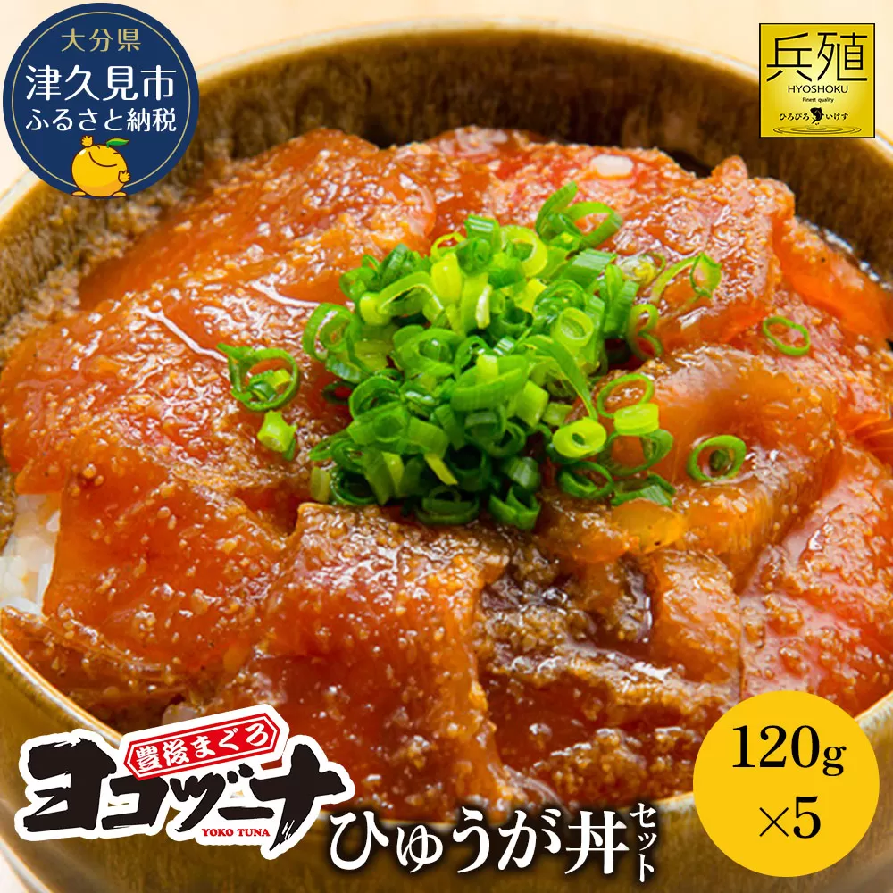 豊後まぐろ ヨコヅーナ ひゅうが丼セット 120g×5  鮪 マグロ 海鮮丼 刺し身 盛り合わせ 冷凍 新鮮 漬け丼 大分県産 九州産 津久見市 国産