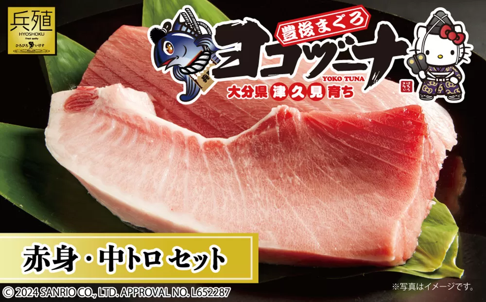 豊後まぐろ ヨコヅーナ 赤身400ｇ 中トロ400g 鮪 マグロ 海鮮丼 刺し身 盛り合わせ 冷凍 魚の刺身 大分県産 九州産 津久見市