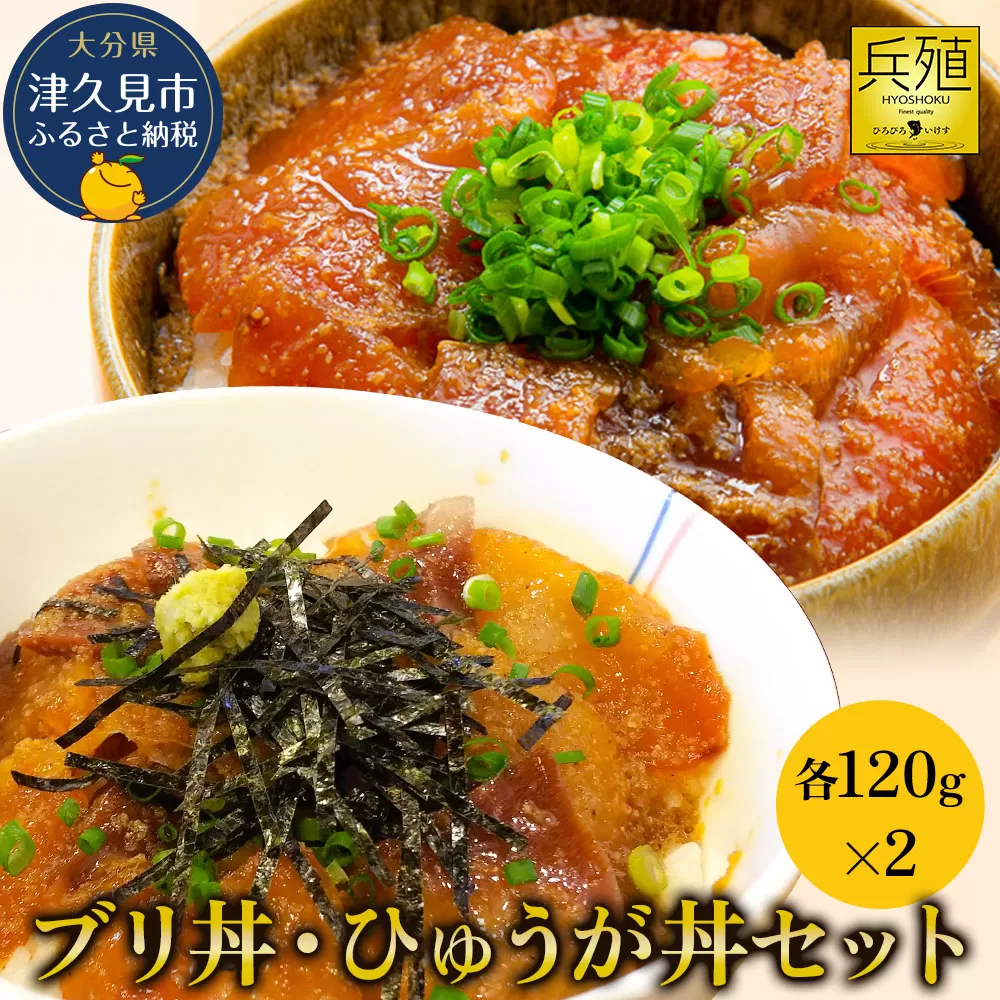 ブリ丼・ひゅうが丼セット 各120g×2 ひろびろいけすぶり 豊後まぐろ ヨコヅーナ  鮪 マグロ 海鮮丼 刺し身 盛り合わせ 冷凍 新鮮 漬け丼 大分県産 九州産 津久見市 国産