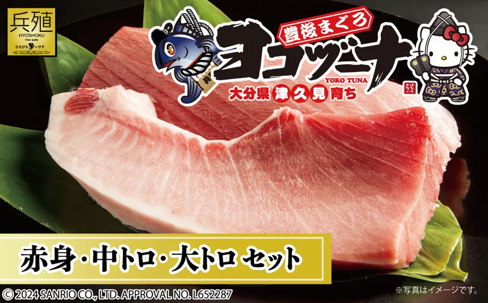 豊後まぐろ ヨコヅーナ 贅沢セット赤身250g 中トロ500g 大トロ250g マグロ まぐろ 鮪 赤身 大トロ 中トロ 刺身 刺し身大分県産 九州産 津久見市