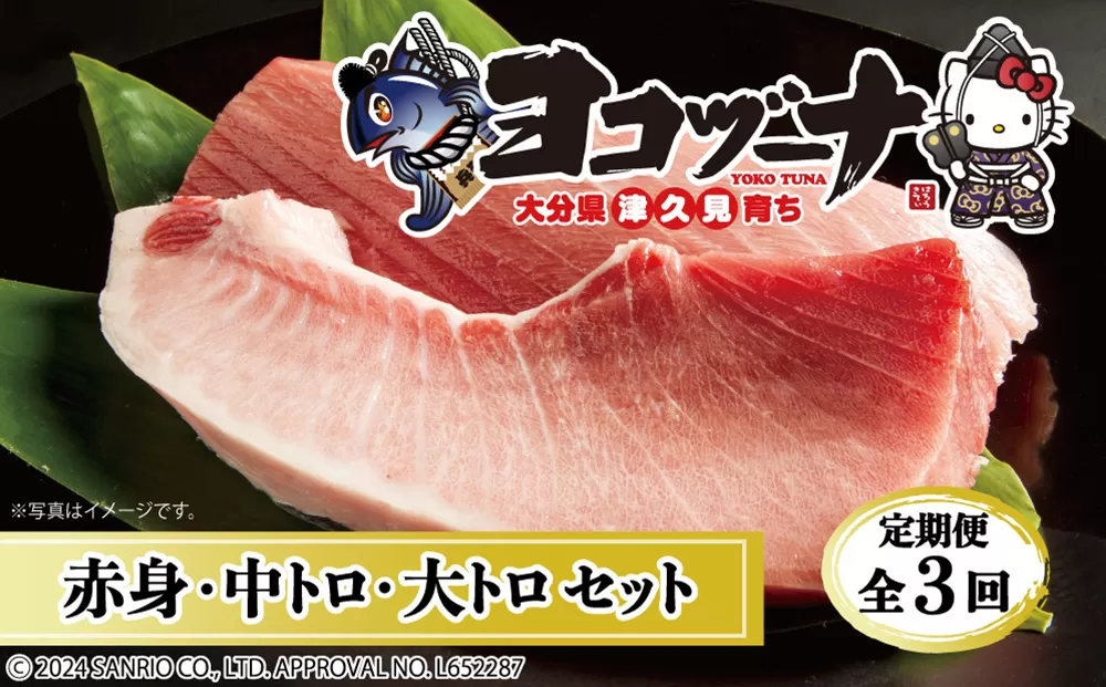 【定期便3回】豊後まぐろヨコヅーナ贅沢セット全3回 赤身250g 中トロ500g 大トロ250g マグロ まぐろ 鮪 赤身 大トロ 中トロ 刺身 刺し身大分県産 九州産 津久見市