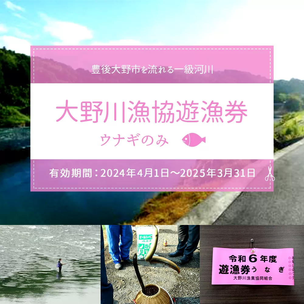 024-1063 大野川漁協遊漁券 ウナギのみ