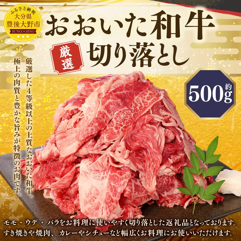 173-1176 おおいた和牛 切り落とし（500g）厳選 国産 和牛 肉 牛肉 冷凍 肉じゃが 牛丼 焼肉 カレー シチュー 炒め物