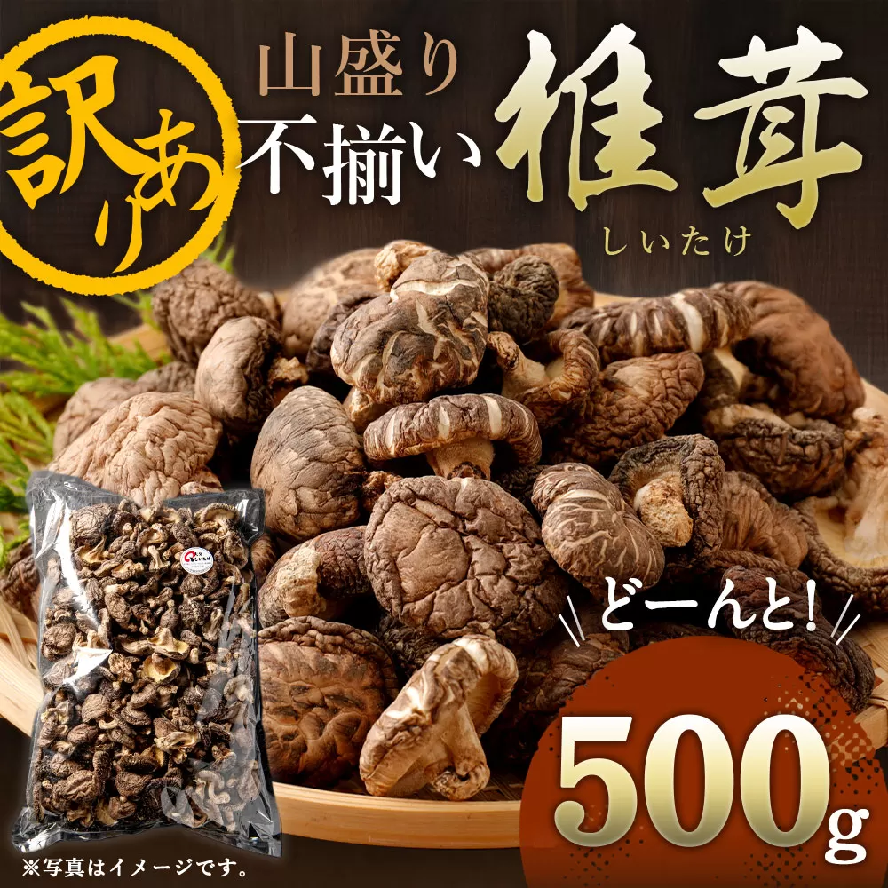 015-1185 山盛り 不揃い 椎茸 500g 訳あり 乾燥椎茸 きのこ 茸