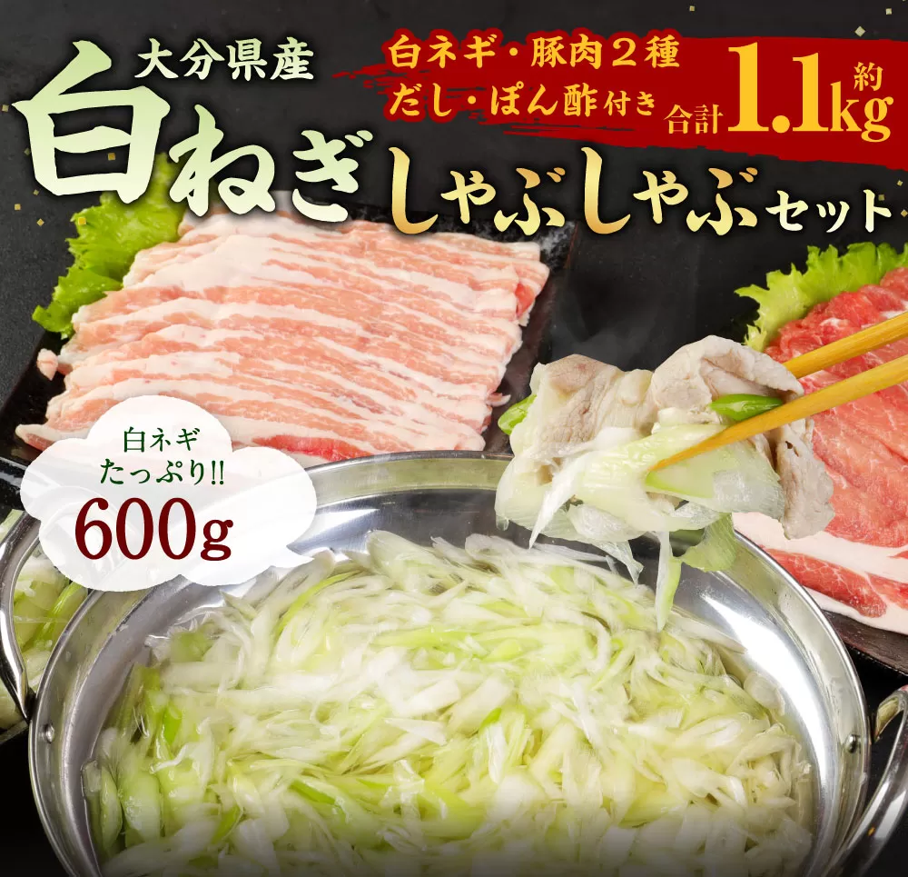 073-1183 大分県産 白ネギ しゃぶしゃぶ セット 計1.1kg 長ねぎ 長ネギ 白ネギ 白ねぎ ネギ ねぎ 葱 白葱 ねぎしゃぶ