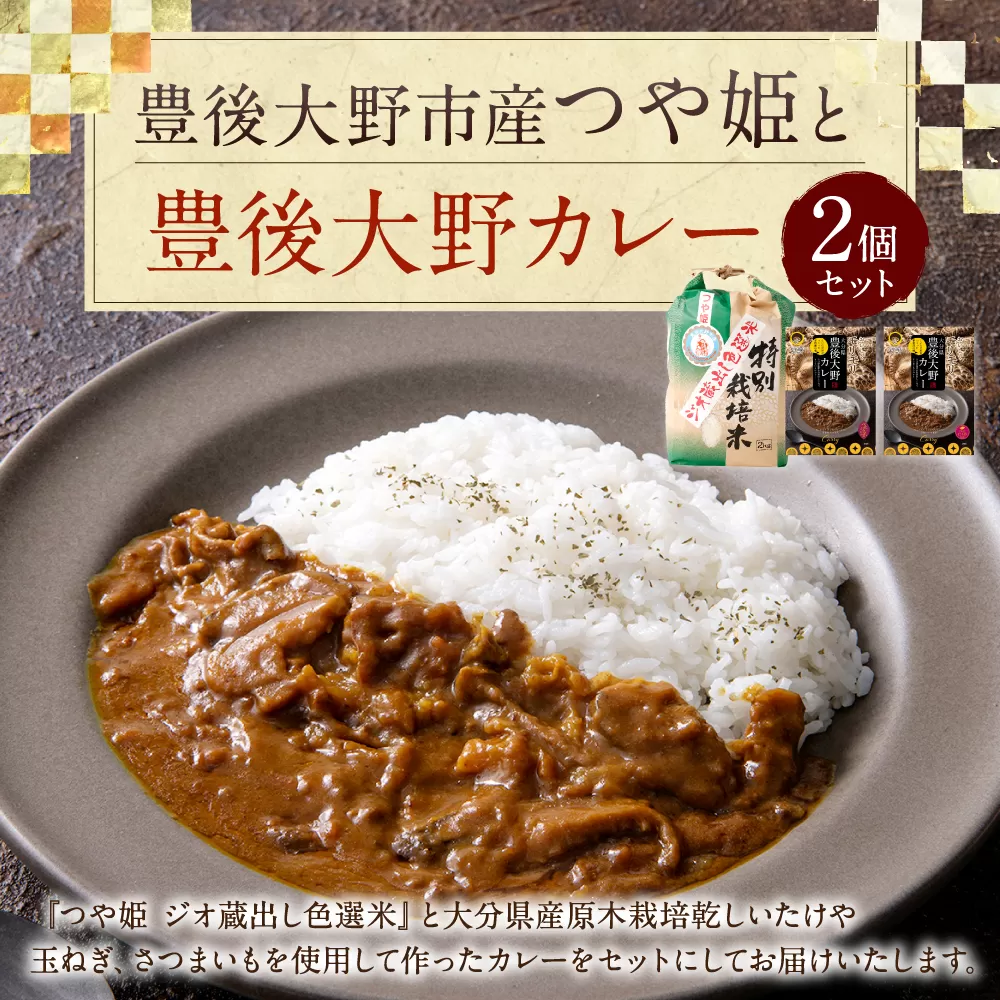 015-993 豊後大野市産 つや姫と豊後大野カレーセット