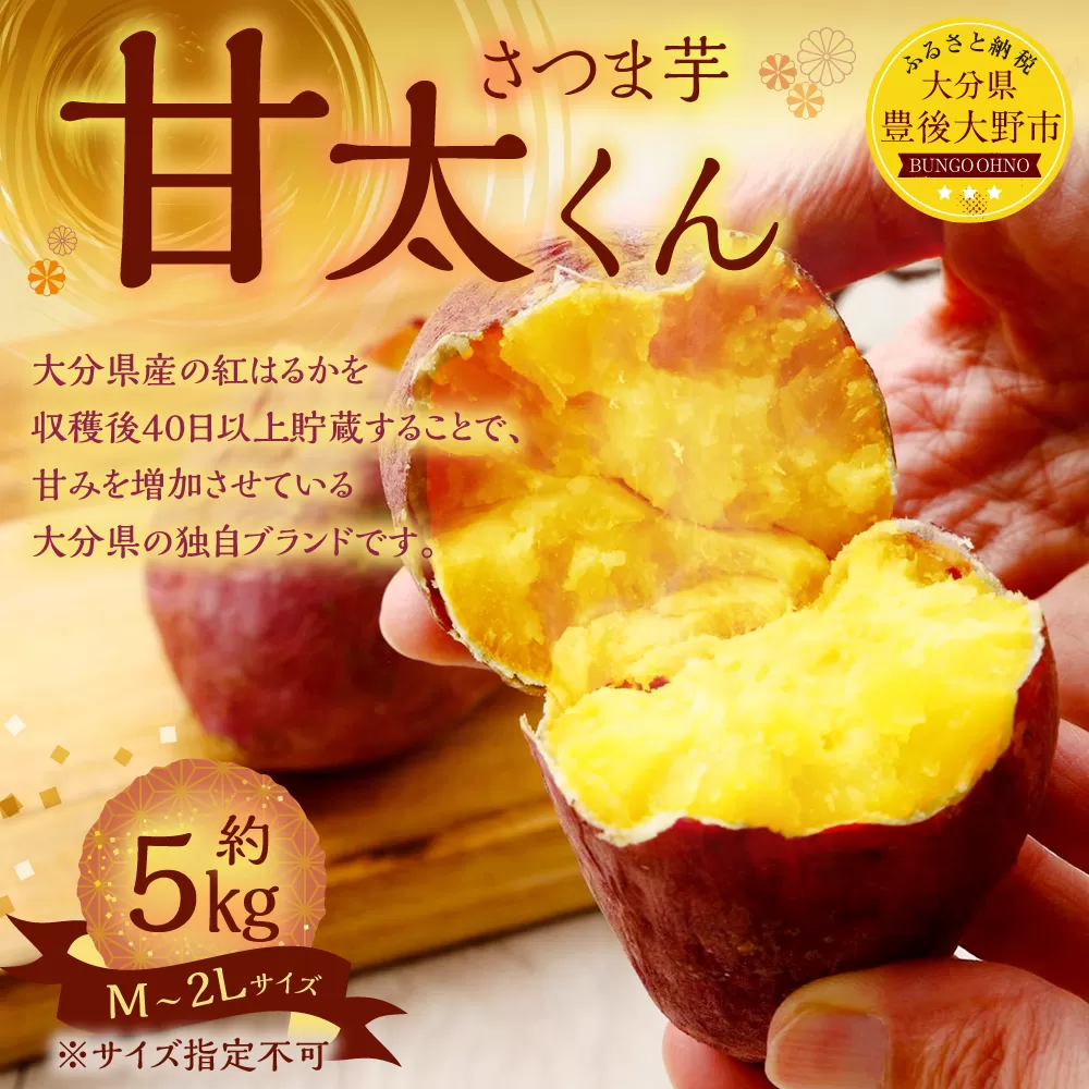 134-1145 甘太くん 5kg（Ｍ～2Lサイズ） さつまいも 芋 紅はるか 【2024年12月下旬から2025年4月上旬発送予定】 