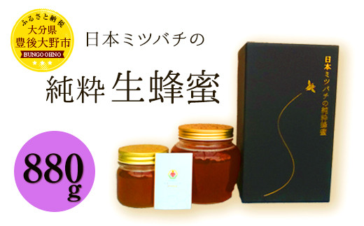 025-766 日本ミツバチ の 純粋 生蜂蜜 880g ハチミツ はちみつ 国産 生