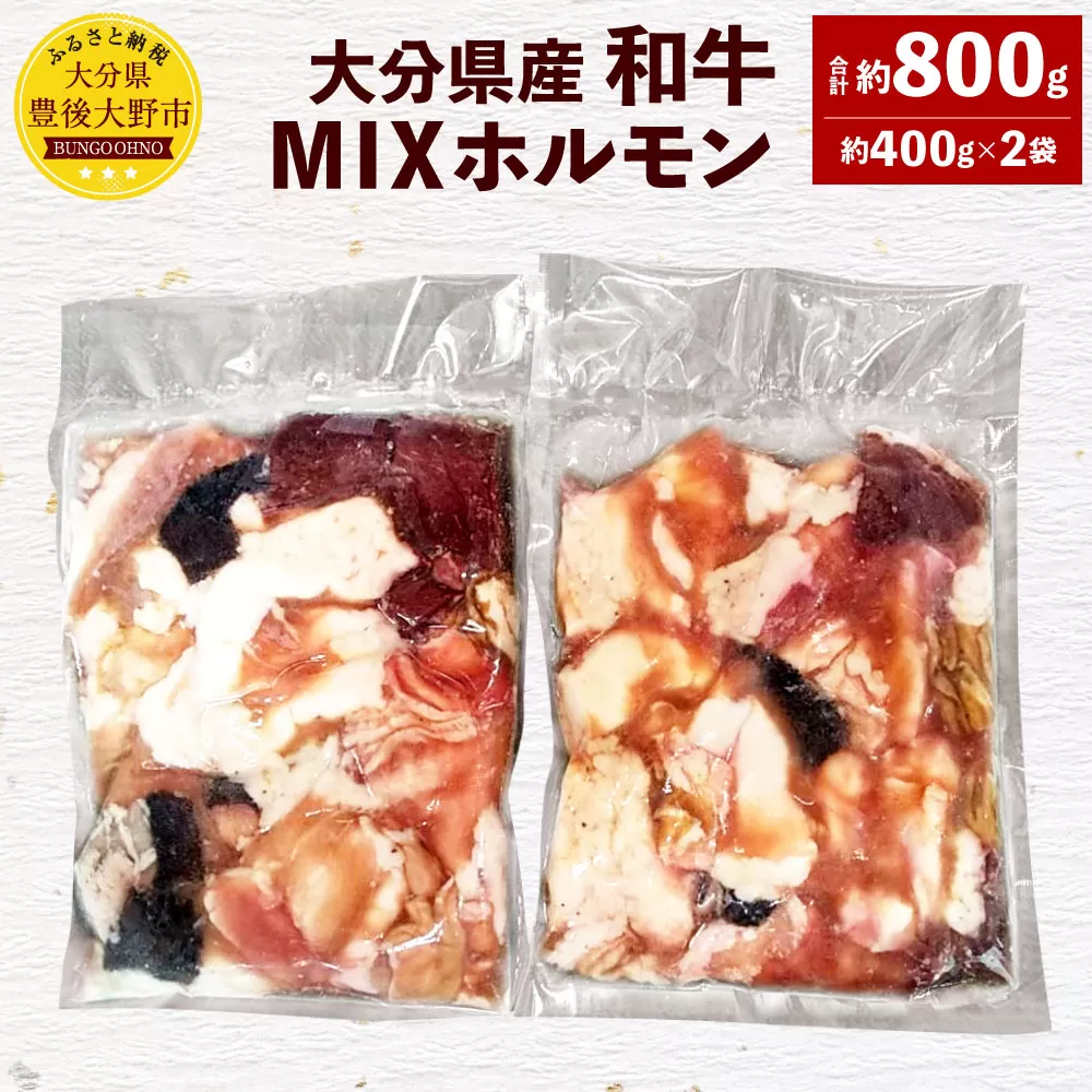 093-475 大分県産 和牛 MIX ホルモン 約800g 約400g×2