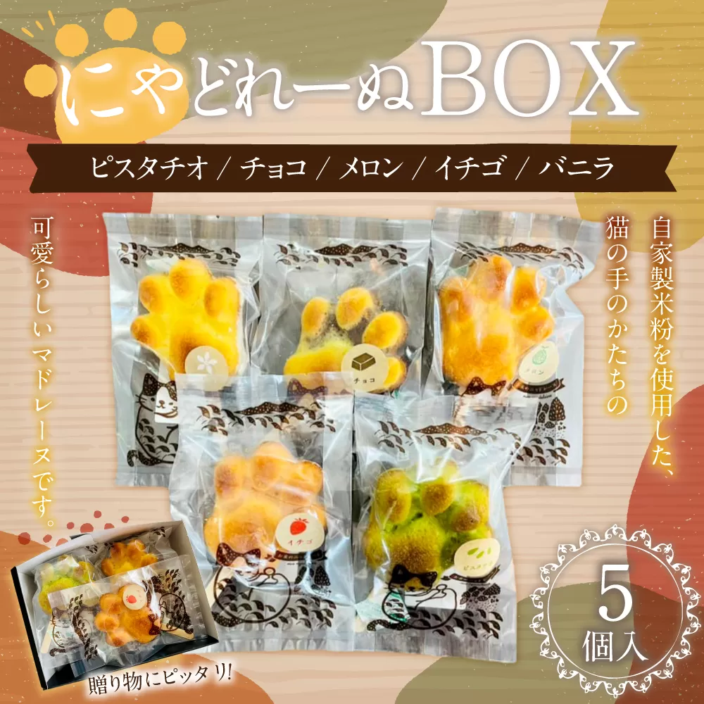 085-868 にゃどれーぬBOX お菓子 マドレーヌ 焼菓子  詰め合わせ 5種類 各1個 セット