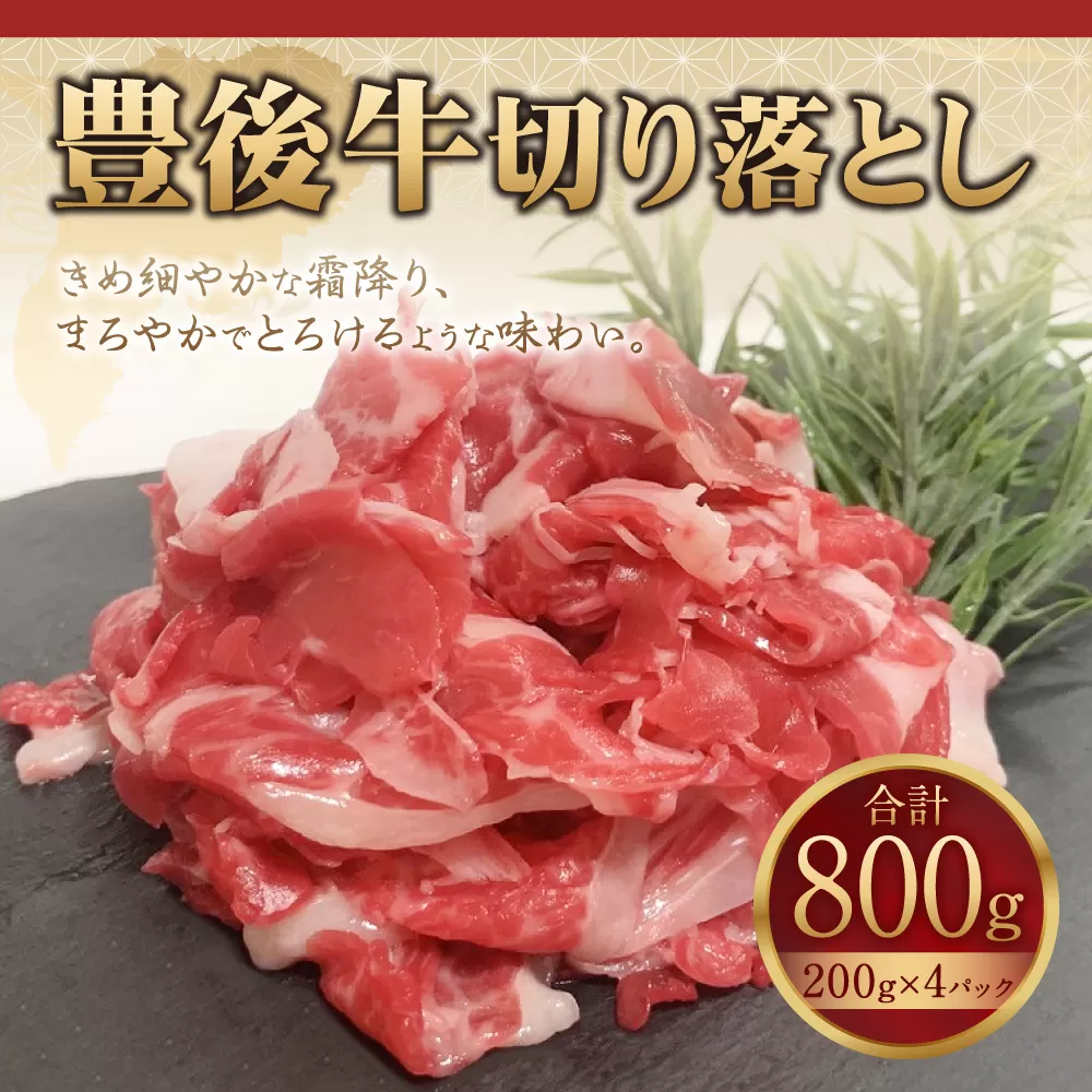 091-729 豊後牛 切り落とし 計800g (200g×4パック) 和牛 牛肉 国産