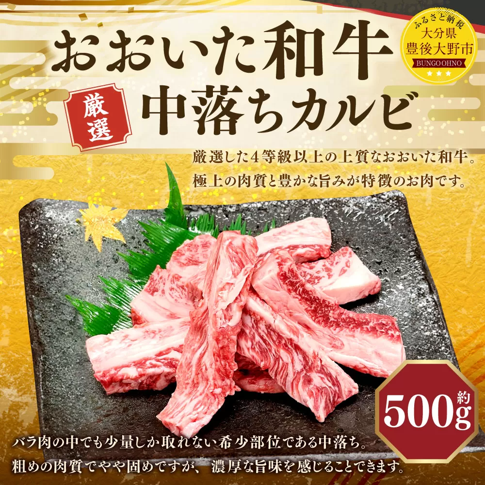 173-1178 おおいた和牛 中落ちカルビ（500g）和牛 カルビ 牛肉 冷凍 肉 焼肉 鉄板焼 BBQ バーベキュー お取り寄せ グルメ 