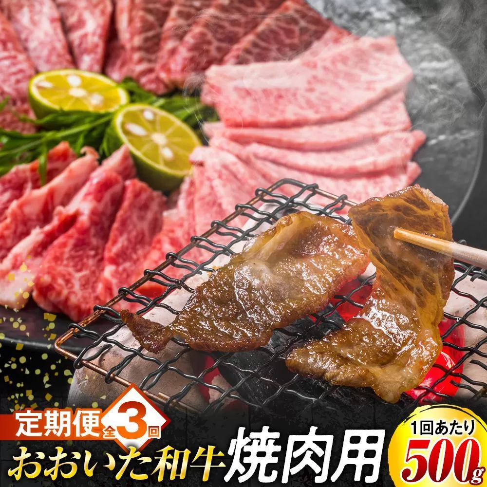 【定期便 全3回】おおいた和牛 焼肉用 500g