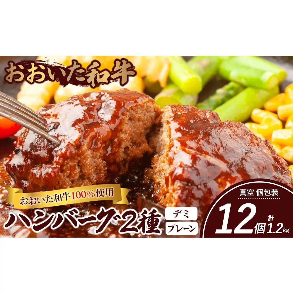 ＜おおいた和牛100％使用＞ハンバーグ 2種 デミ・プレーン 12個 計約1.2kg