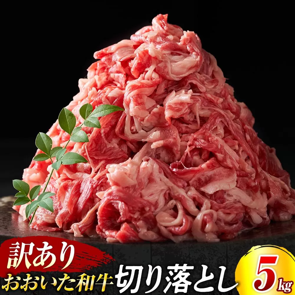 訳あり！おおいた和牛 切り落とし 5kg（500g×10p）