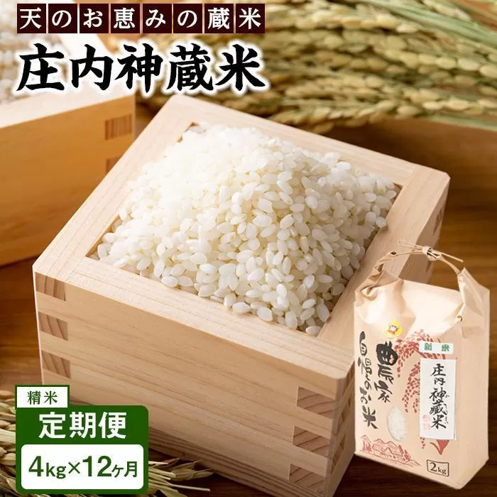 【定期便 全12回】庄内神蔵米（精米）4kg（2kg×2袋）×12回