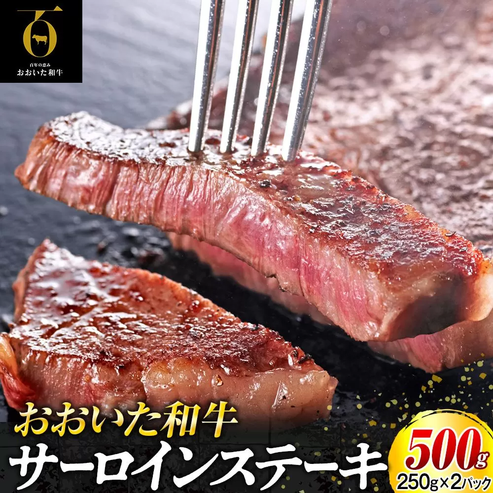 おおいた和牛 サーロインステーキセット 500g（250g×2枚）