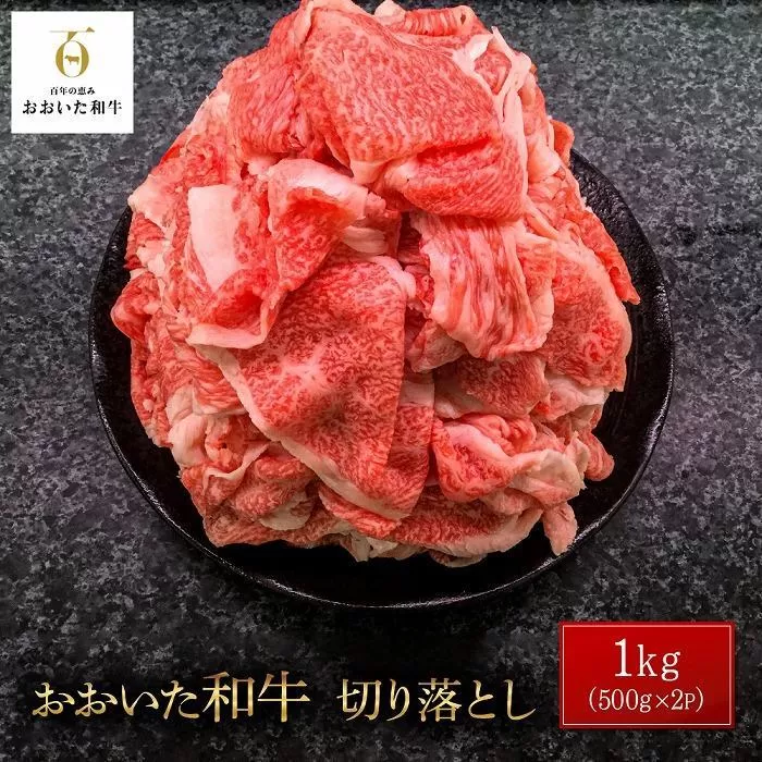 おおいた和牛 切り落とし 1kg(500g×2P)