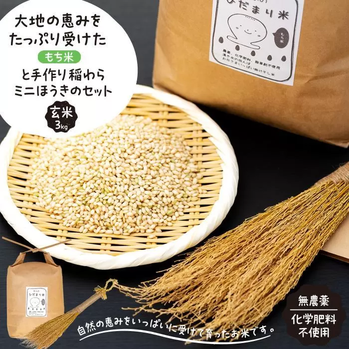 【無農薬・化学肥料不使用】大地の恵みをたっぷり受けた もち米（玄米）3kgと手作り 稲わらミニほうきのセット