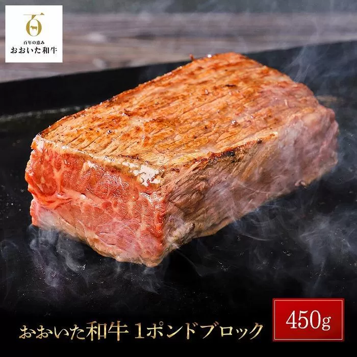 おおいた和牛 1ポンドブロック 約450g