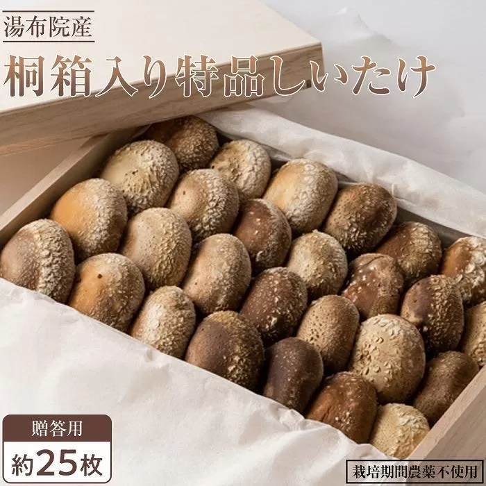 【全国銅賞受賞】＜贈答用＞桐箱入り特品しいたけ(約400ｇ・サイズ混合約25枚)｜栽培期間農薬不使用