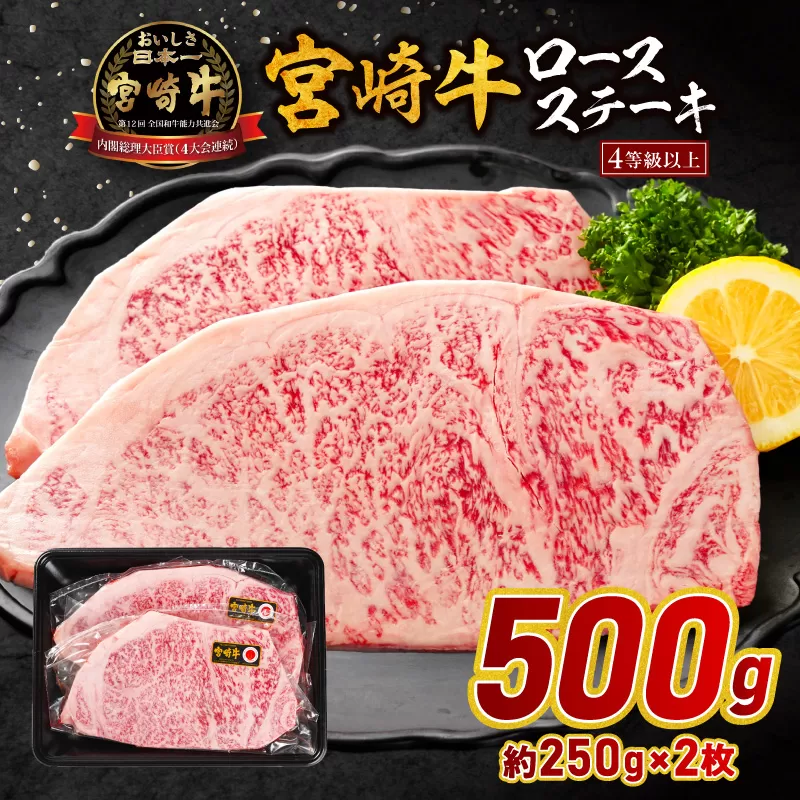 宮崎牛ロースステーキ 500g_M179-023