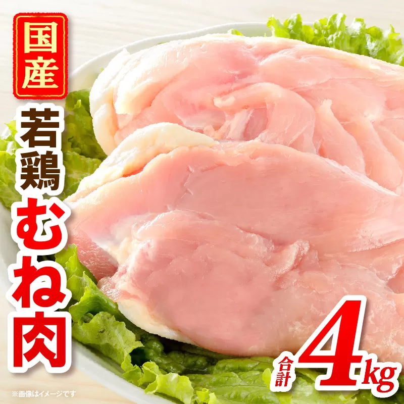 国産若どりむね肉4kg_M333-001