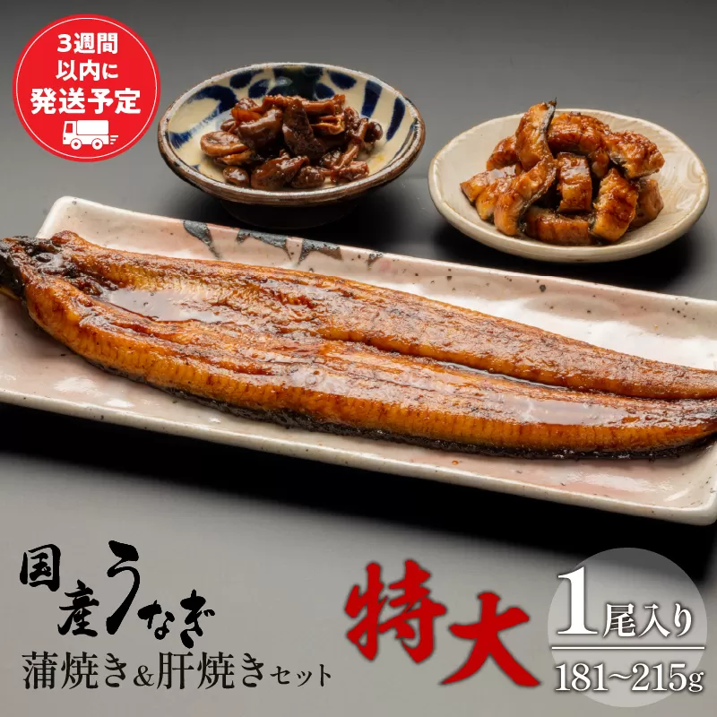 国産うなぎ 蒲焼き 特大サイズ(181〜215g)・肝焼きセット_M069-015_01