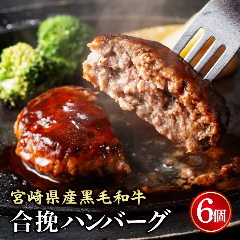 【創業40年】老舗ハンバーグ店　宮崎県産黒毛和牛合挽ハンバーグ140g×6個_M222-012_01