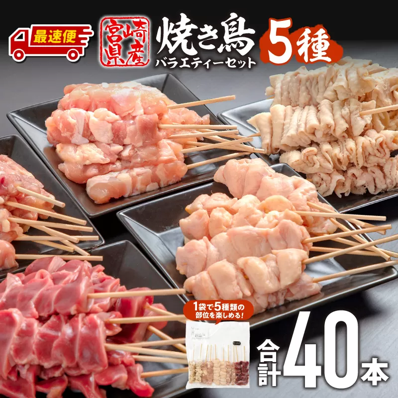 【最速便】九州産若鶏 焼き鳥5種(40本)バラエティーセット_M146-015-2W