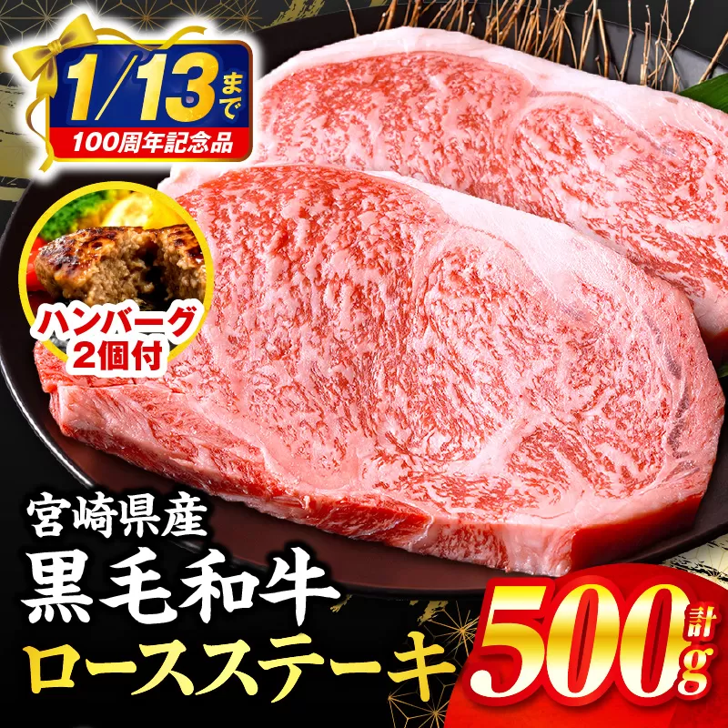 【市制100周年特別規格・期間限定】宮崎県産黒毛和牛ロースステーキ250g×2 合挽きハンバーグ100g×2個 合計700g_M132-091-B