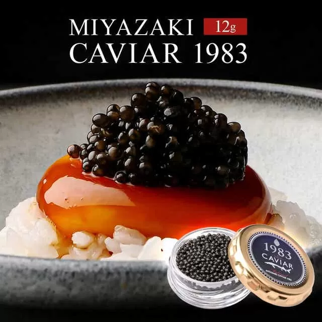 MIYAZAKI　CAVIAR 1983　12g_M017-035_01