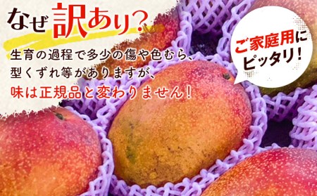 宮崎特産品 「訳あり」宮崎県産完熟マンゴー1.5ｋｇ（3玉〜5玉）_M275-005｜宮崎市｜宮崎県｜返礼品をさがす｜まいふる by AEON CARD