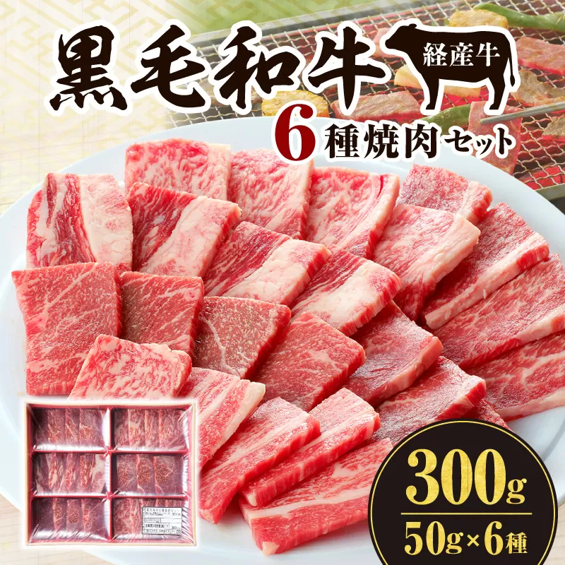 黒毛和牛（経産牛）6種焼肉セット300g_M132-077