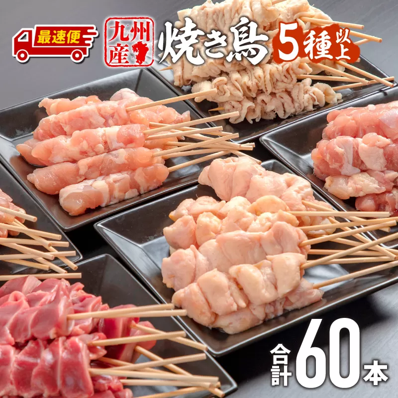 【最速便】九州産若鶏 焼き鳥5種(60本)バラエティーセット_M146-016-2W