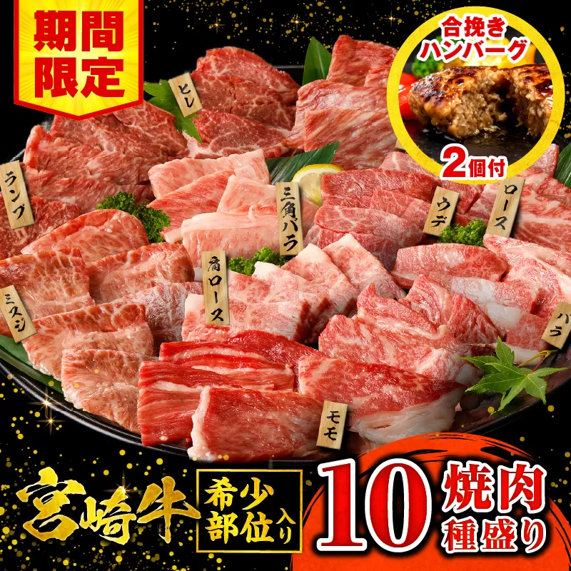 【期間限定】宮崎牛焼肉10種盛り合わせ+合挽きハンバーグ100g×2個_M132-067-B