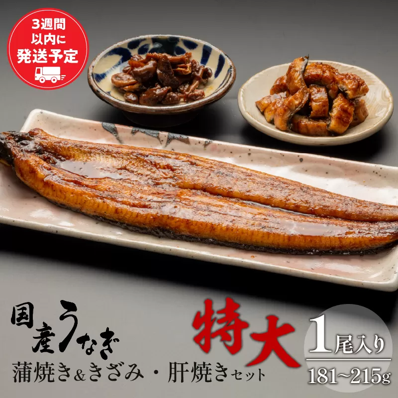 国産うなぎ 蒲焼き 特大サイズ(181〜215g)・きざみ・肝焼きセット_M069-014_01