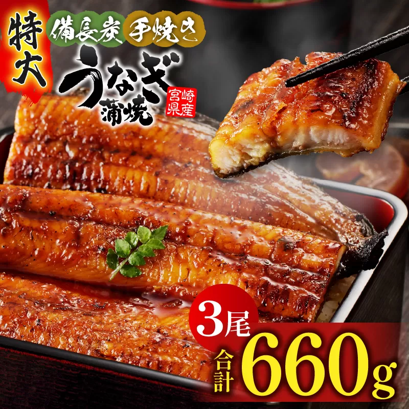 【宮崎県産】特大うなぎ備長炭手焼き蒲焼3尾(660g)_M159-011