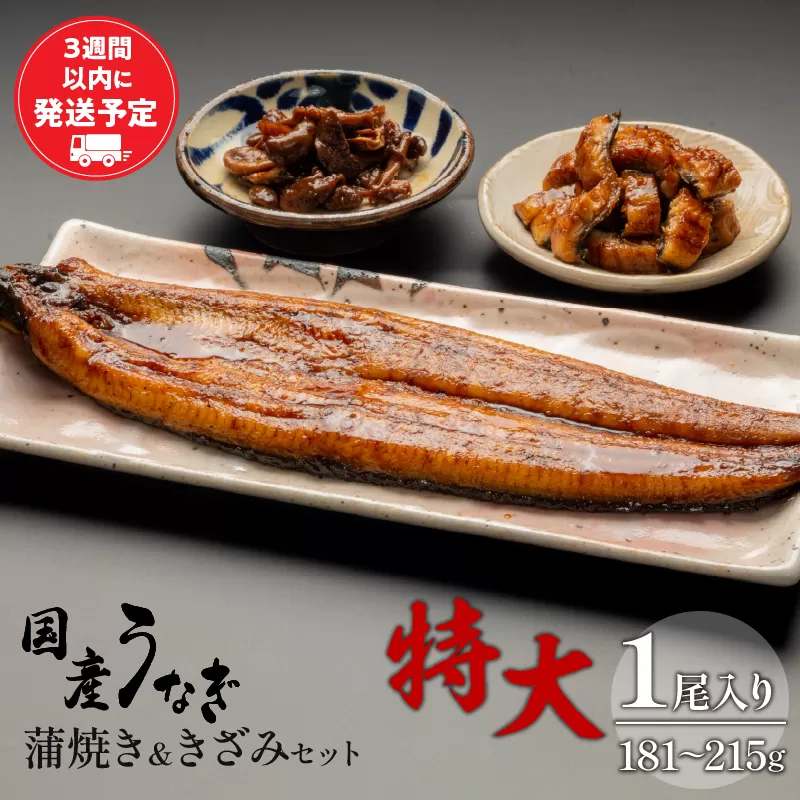 国産うなぎ蒲焼き特大サイズ(181〜215g)・蒲焼きざみセット_M069-017_01