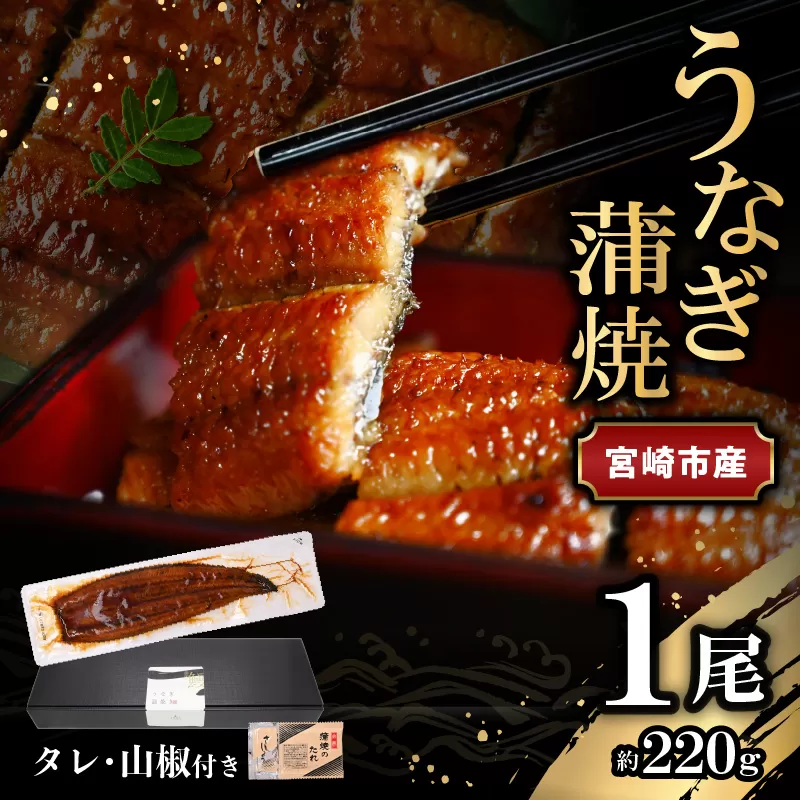 宮崎県宮崎市産　うなぎの蒲焼　約220g（約220g×1尾）タレ・山椒セット_M325-009