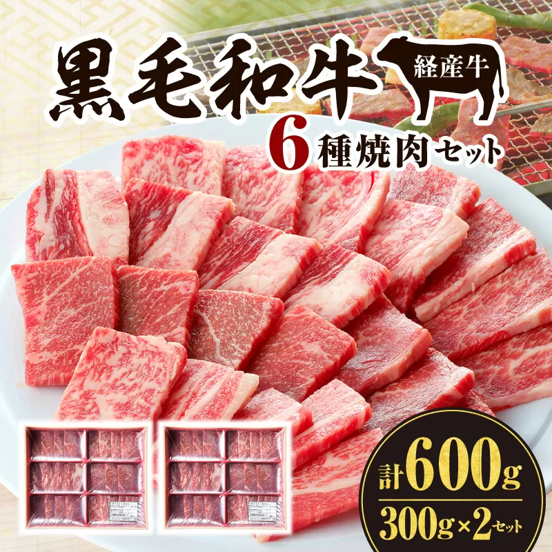 黒毛和牛（経産牛）6種焼肉セット300g × 2（計600g）_M132-078