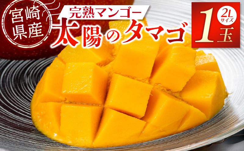 宮崎県産 完熟マンゴー セット クール おすすめ - 果物