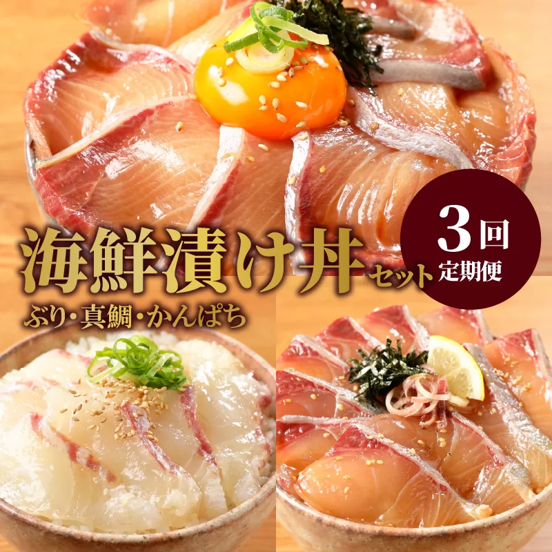 【ふるさと納税】日向灘 海鮮丼 漬け丼 お魚の漬け丼 バラエティ3回定期便　N019-ZC515