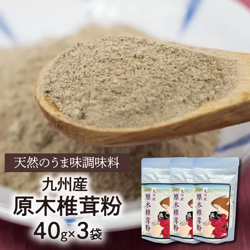 天然のうま味調味料「九州産原木椎茸粉」40g×3袋　N0155-ZA0189