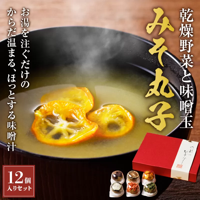 乾燥野菜と味噌玉「みそ丸子」12個入りセット　N089-ZA152