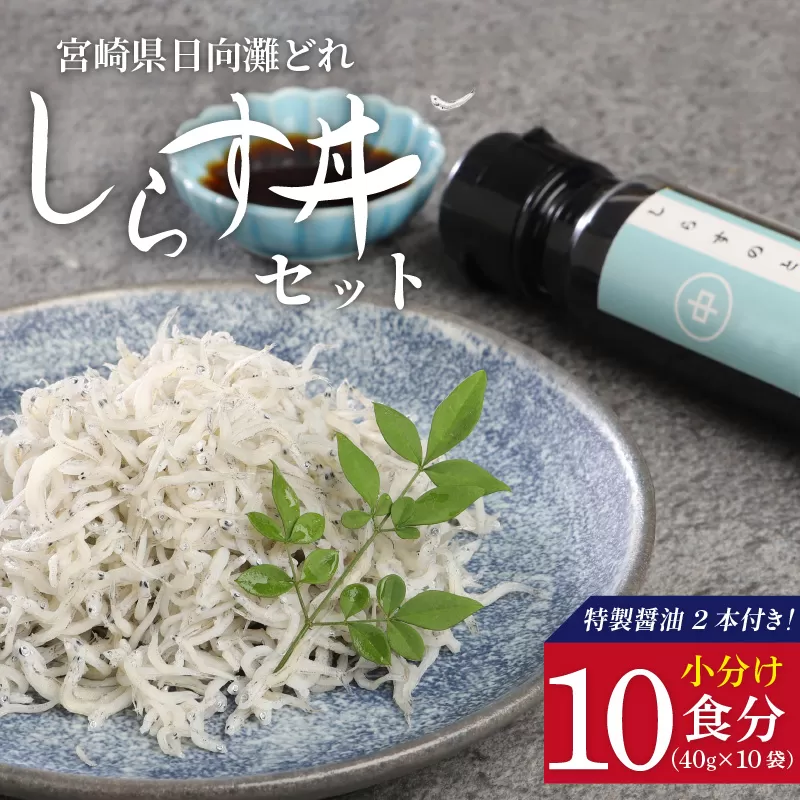 宮崎産 しらす丼 セット 小分け 10食分 400g 老舗醸造所 特製醤油付き　N065-A175