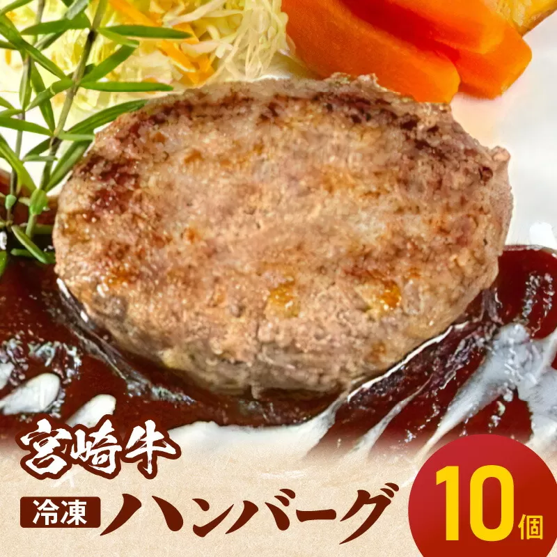 宮崎牛ハンバーグ100ｇ×10個 N124-YD0199