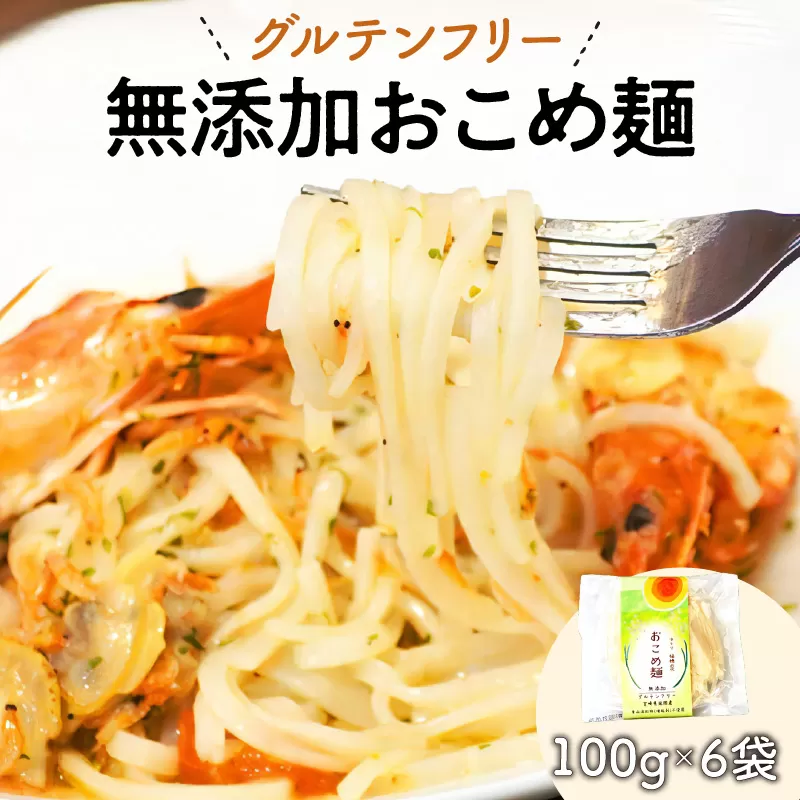 【グルテンフリー】無添加おこめ麺　100g×6袋　N0107-A030